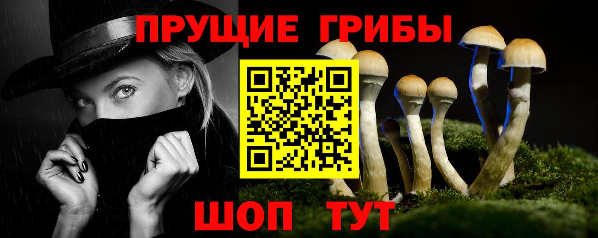 Коломна  Галлюциногенные грибы прущие грибы  Вход с VPN 
